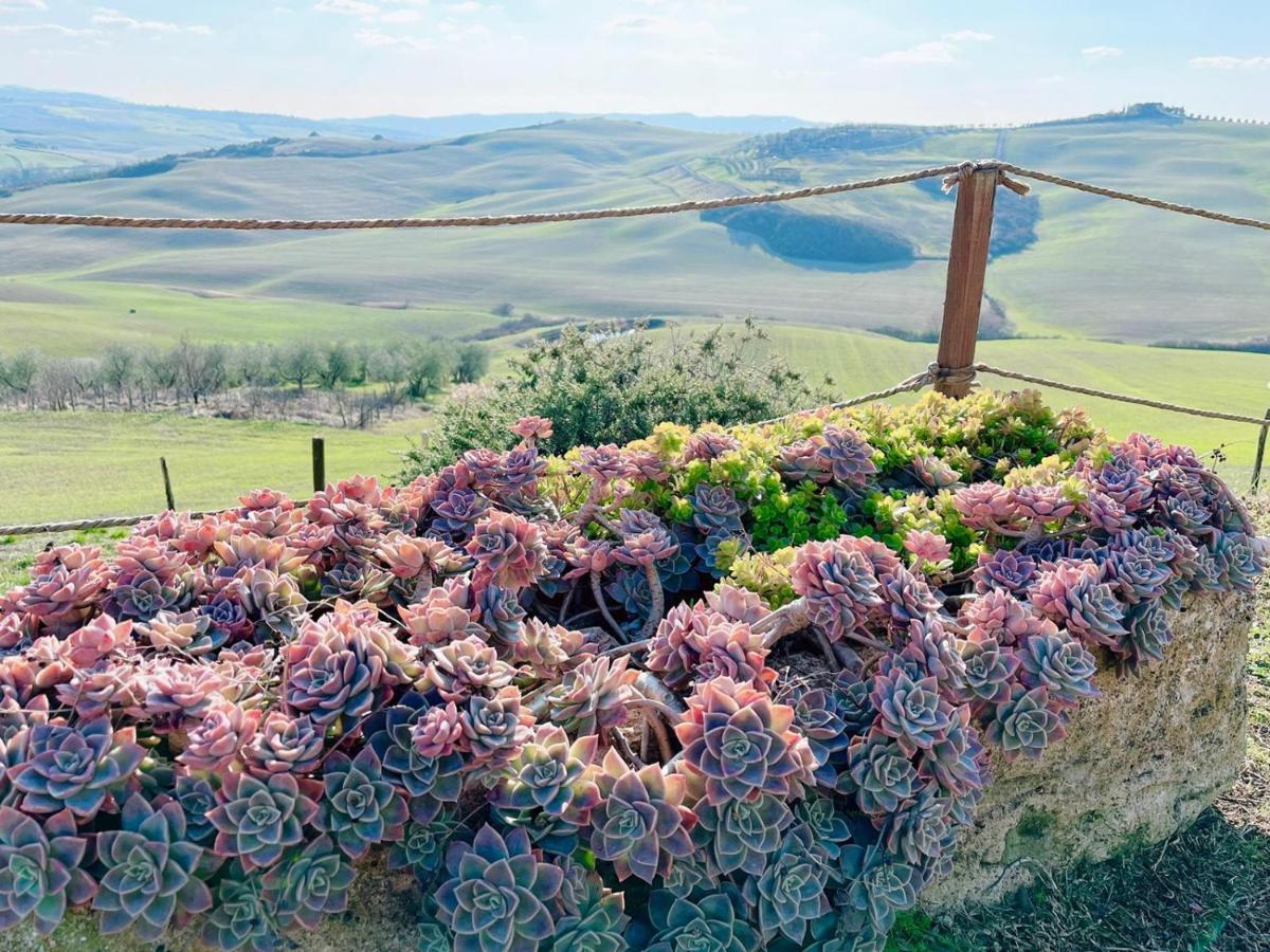 Appartement Podere Poggio Salto à Pienza Extérieur photo