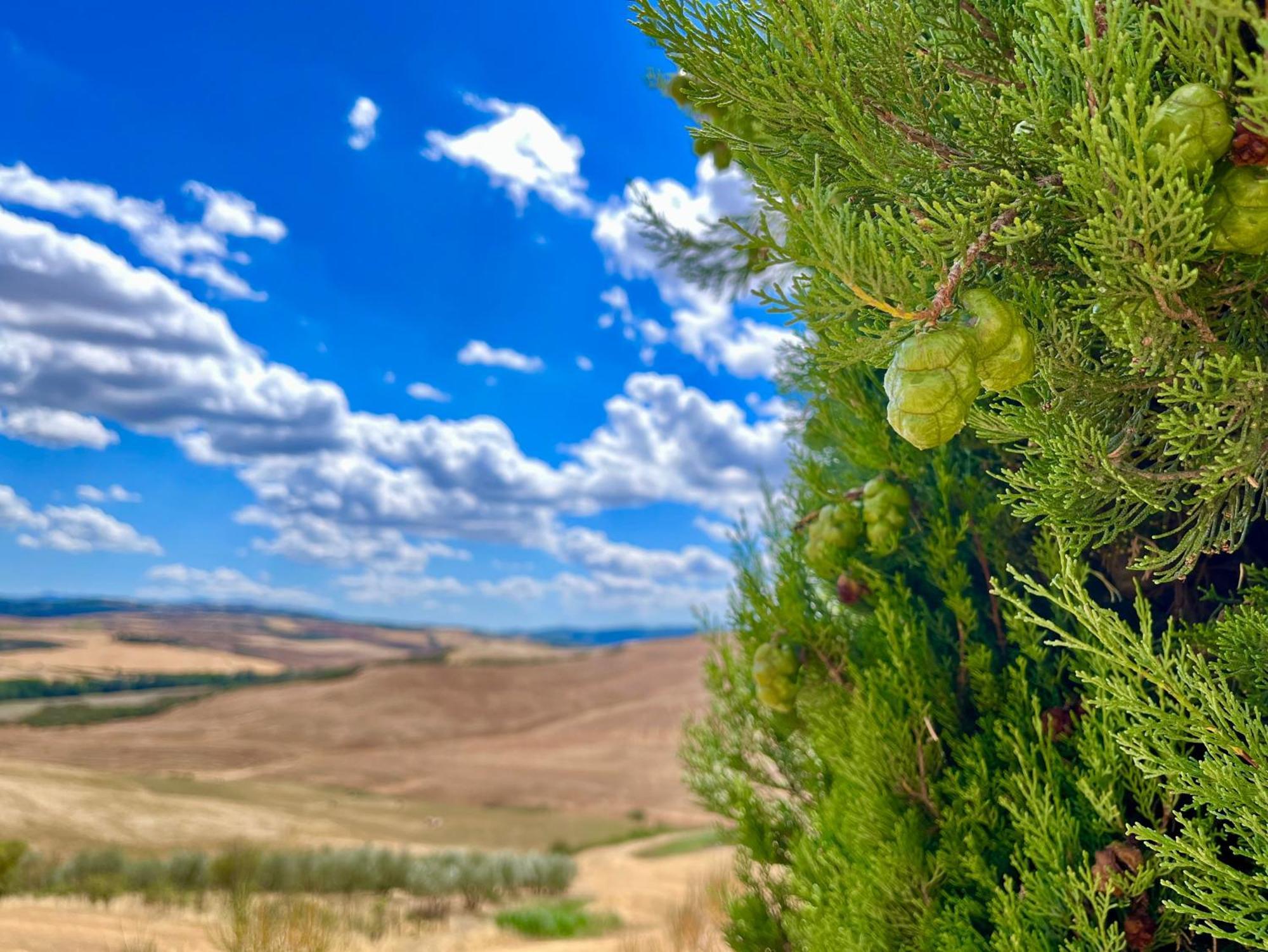 Poggiosalto In Toscana Pienza Extérieur photo