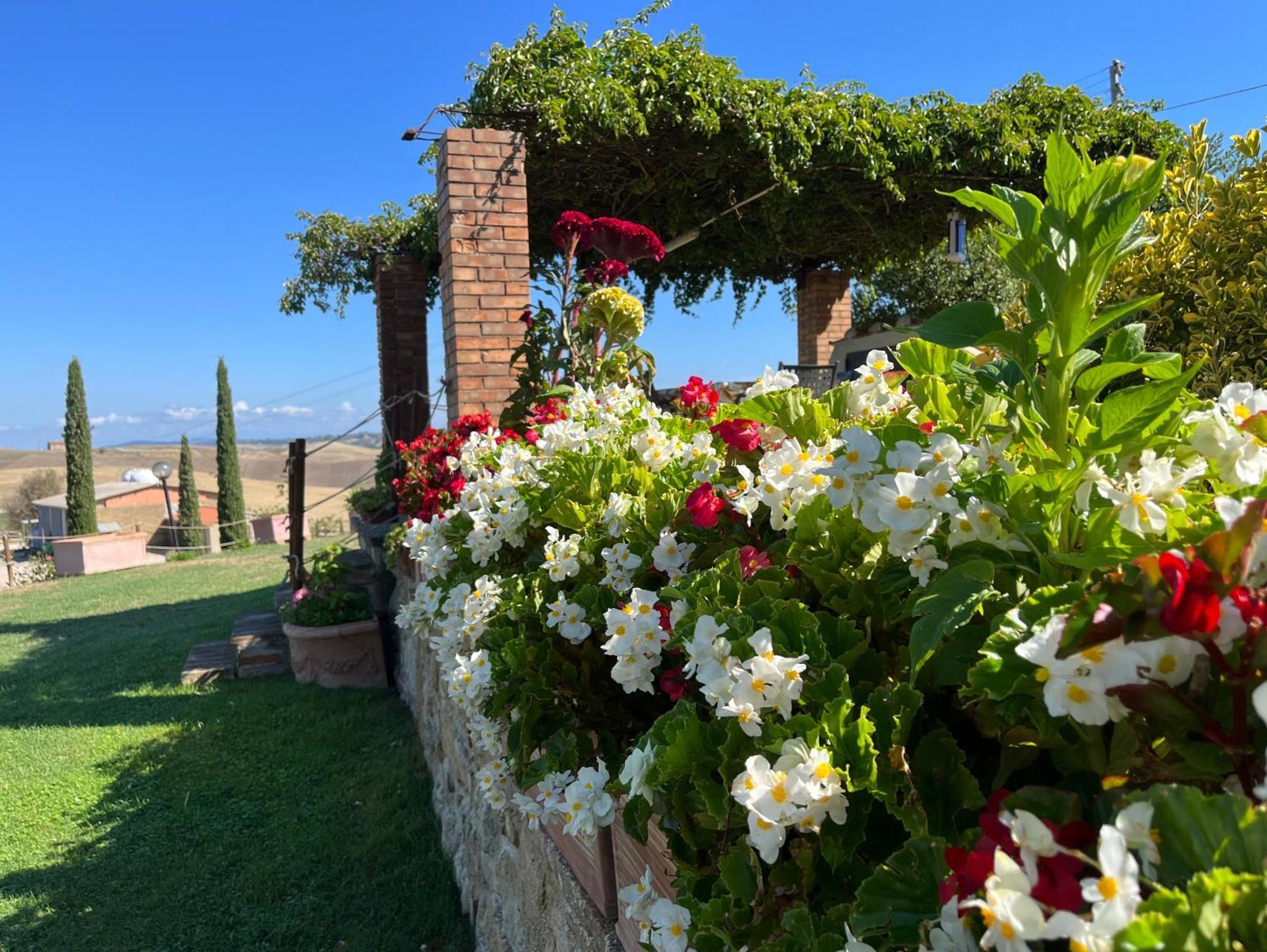 Appartement Podere Poggio Salto à Pienza Extérieur photo